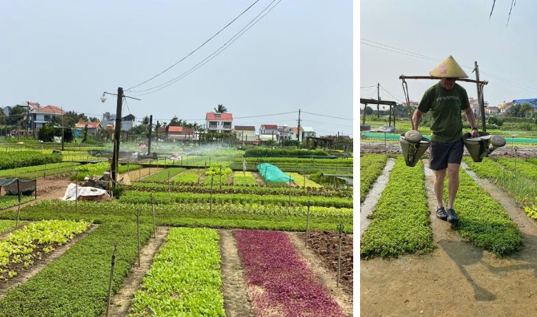tra-que-organic-village-hoi-an