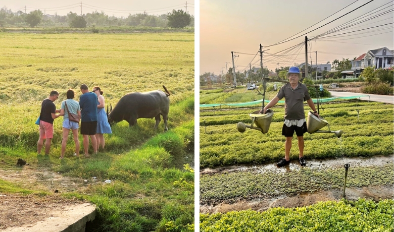 vegetable-village-hoi-an