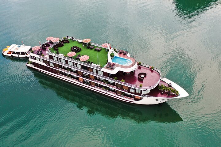 dora-cruise