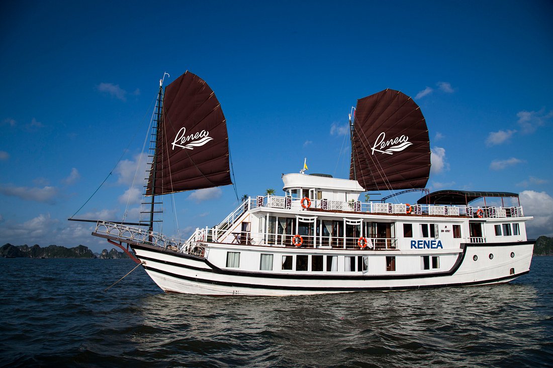 renea-cruise