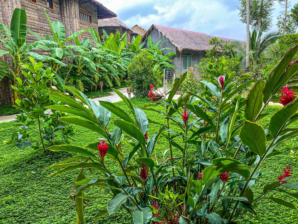 can-tho-ecolodge