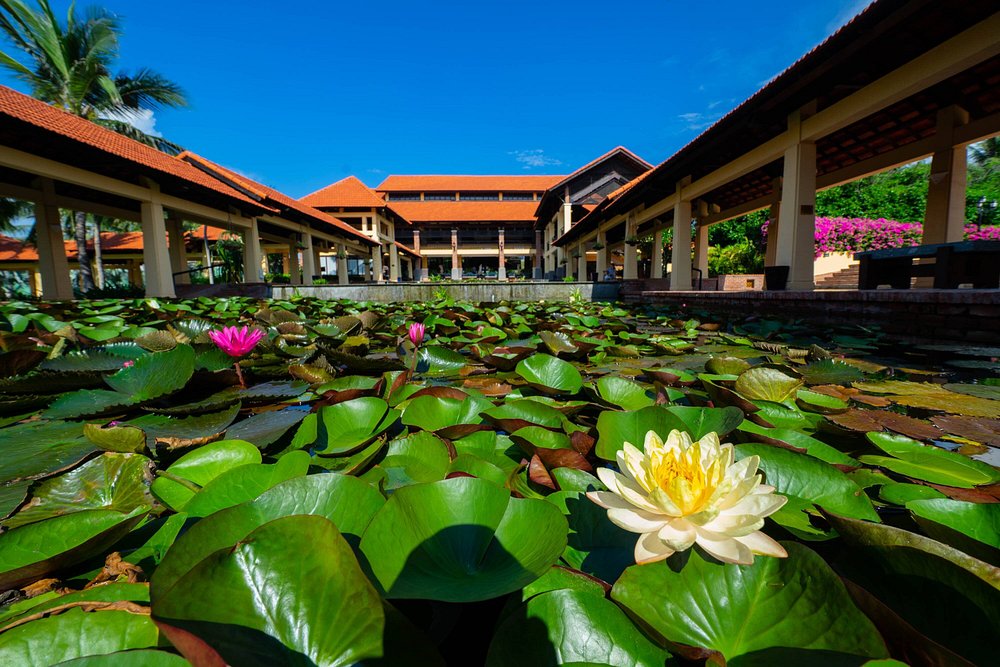 Pandanus Resort