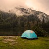 asia-pioneer-travel-tripadvisor