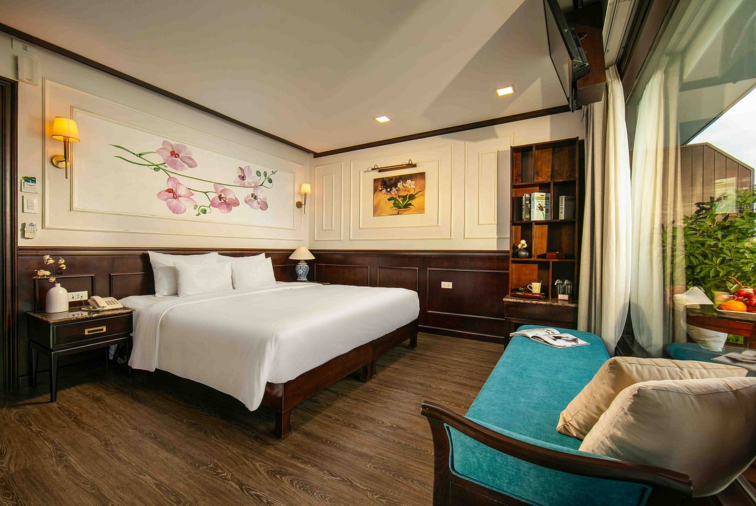 orchid-trendy-cruise