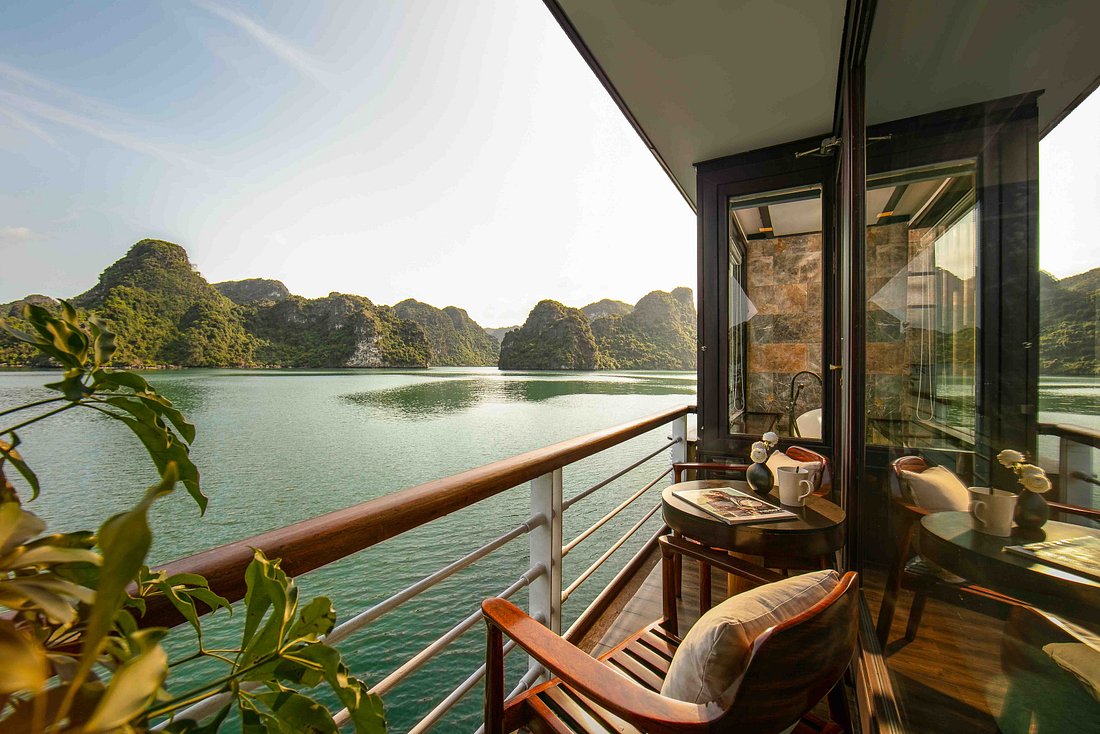 orchid-trendy-cruise