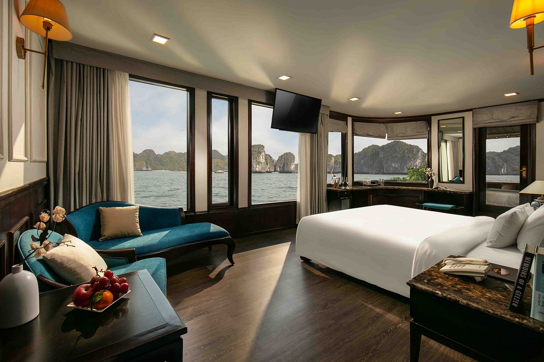 orchid-trendy-cruise