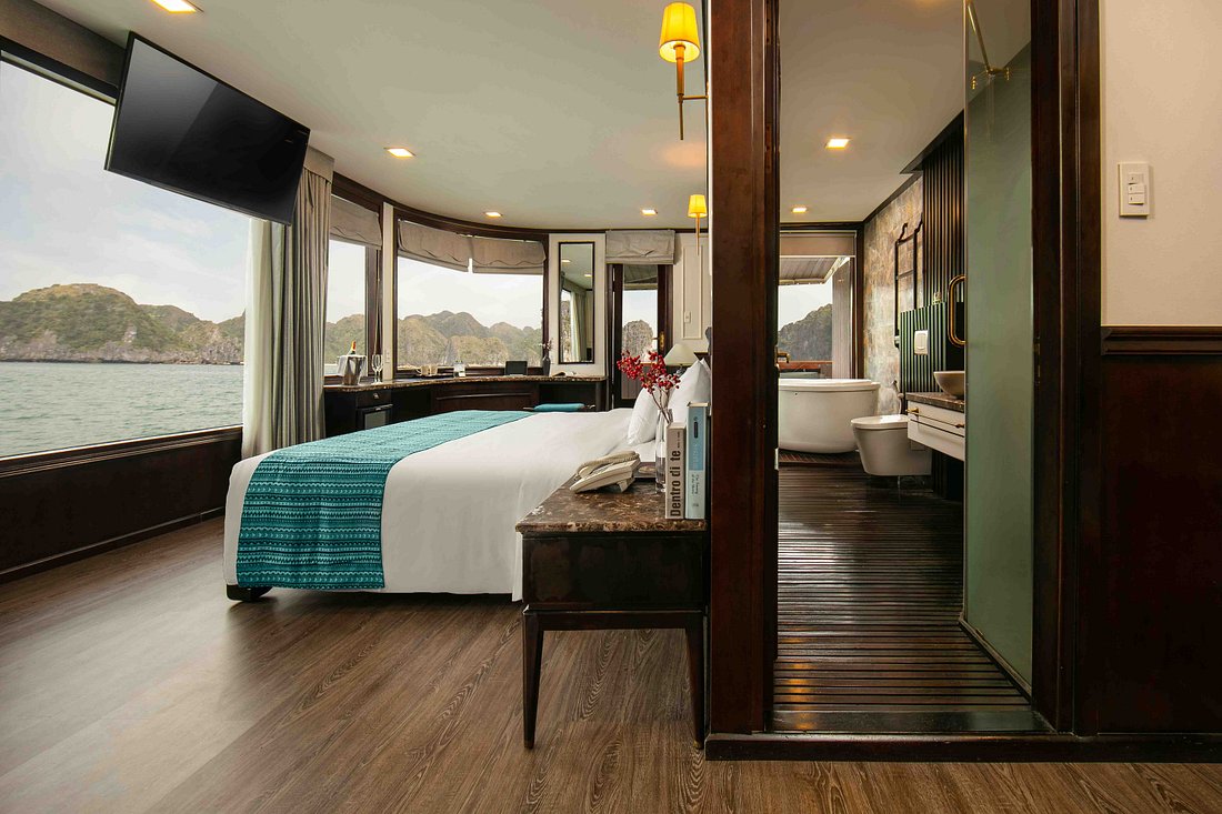 orchid-trendy-cruise