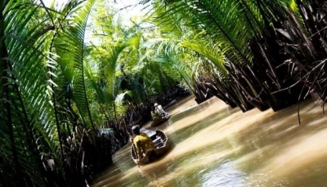 Mango Cruise