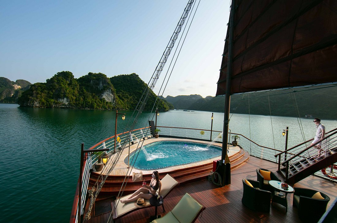 orchid-trendy-cruise