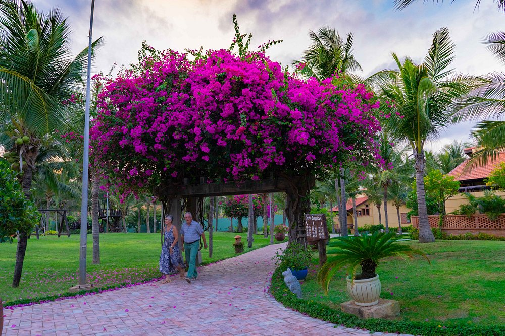 pandanus-resort-mui-ne