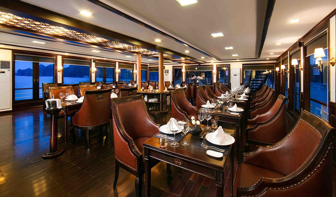 orchid-trendy-cruise