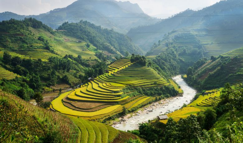 vietnam-rice-field-season-1