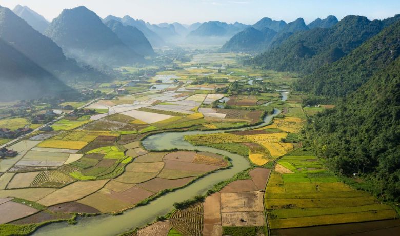 vietnam-rice-field-season-10