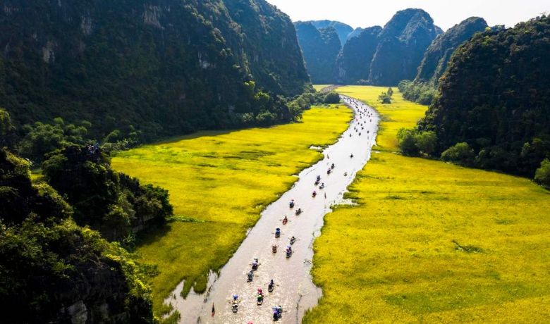 vietnam-rice-field-season-4