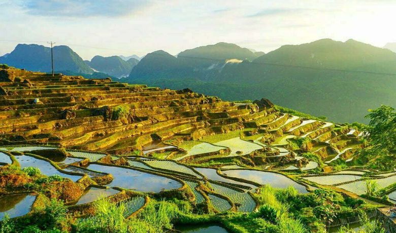 vietnam-rice-field-season-9