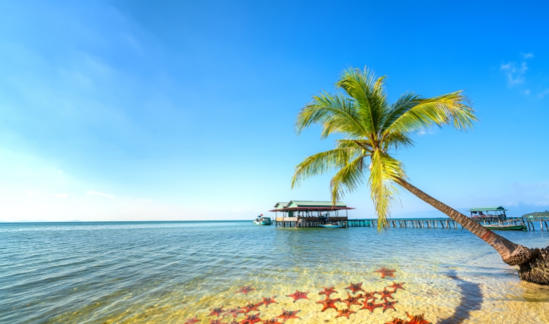 is-november-a-good-time-to-go-to-vietnam-2