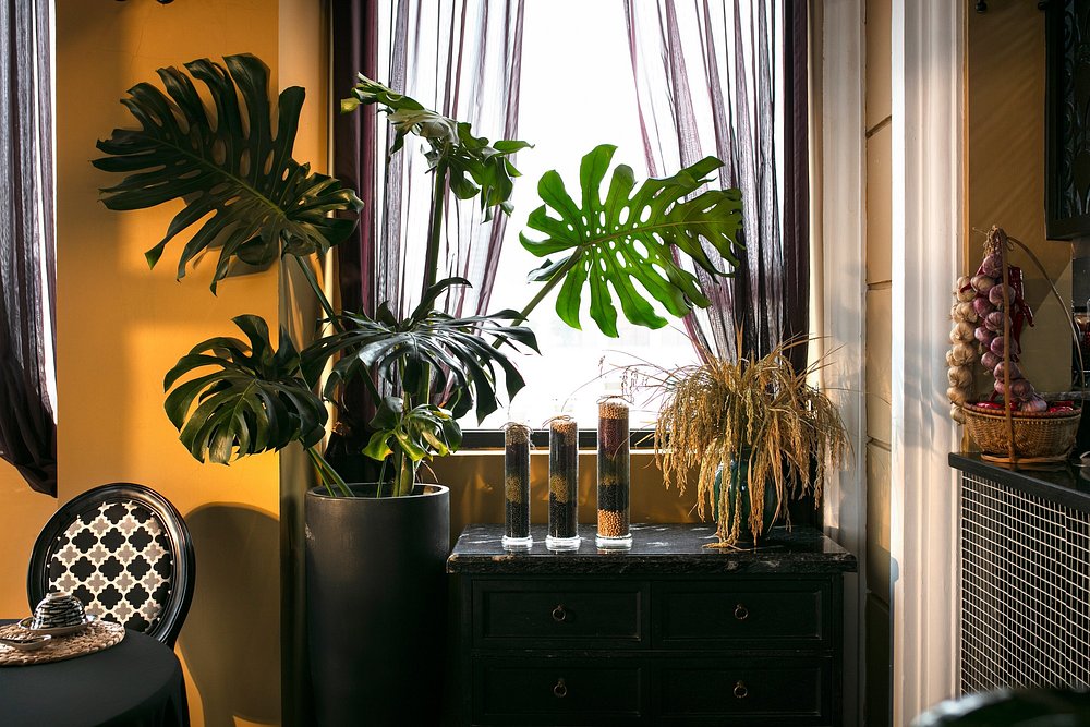 jm-marvel-hotel-and-spa
