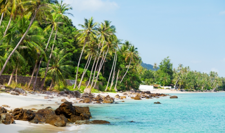 koh-samui-vs-phuket-2