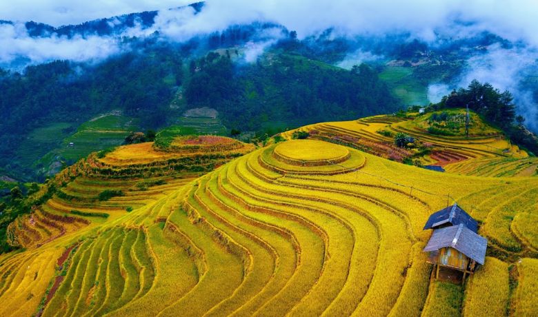 vietnam-in-october-asia-pioneer-travel