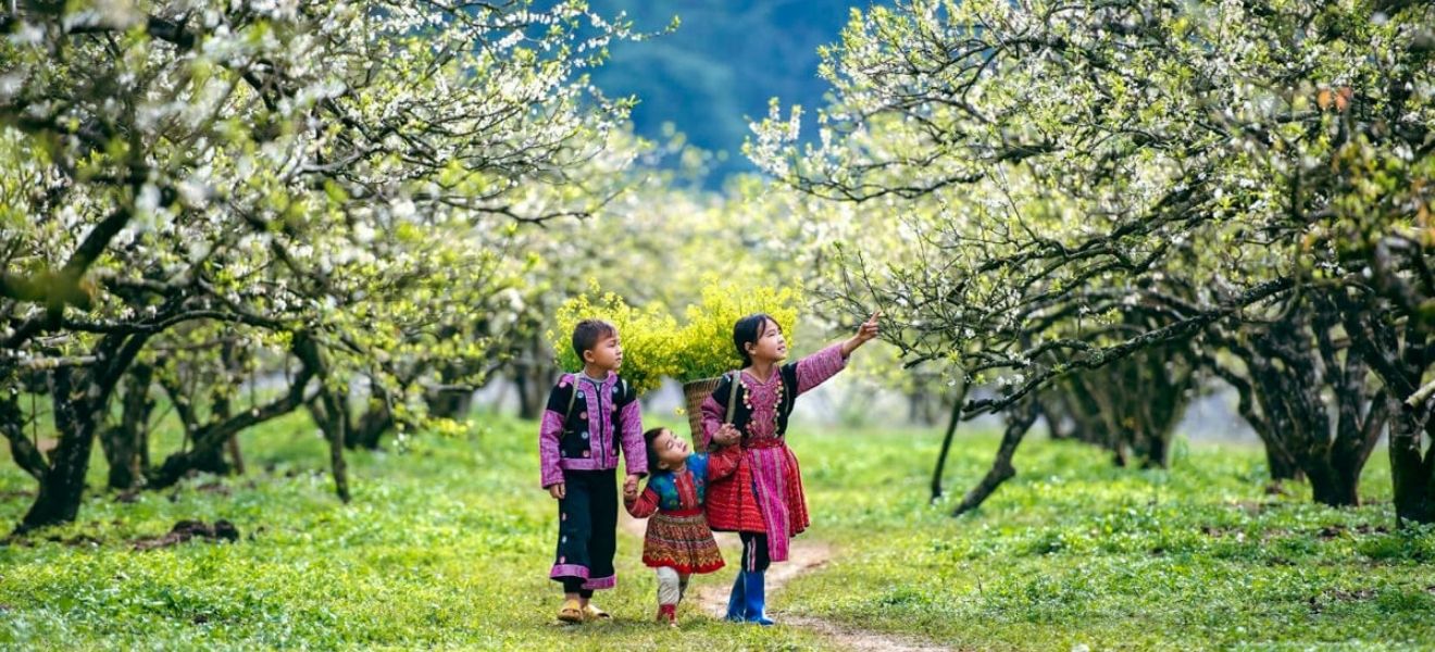Vietnam in October: Where to Go, What to Expect & Travel Tips