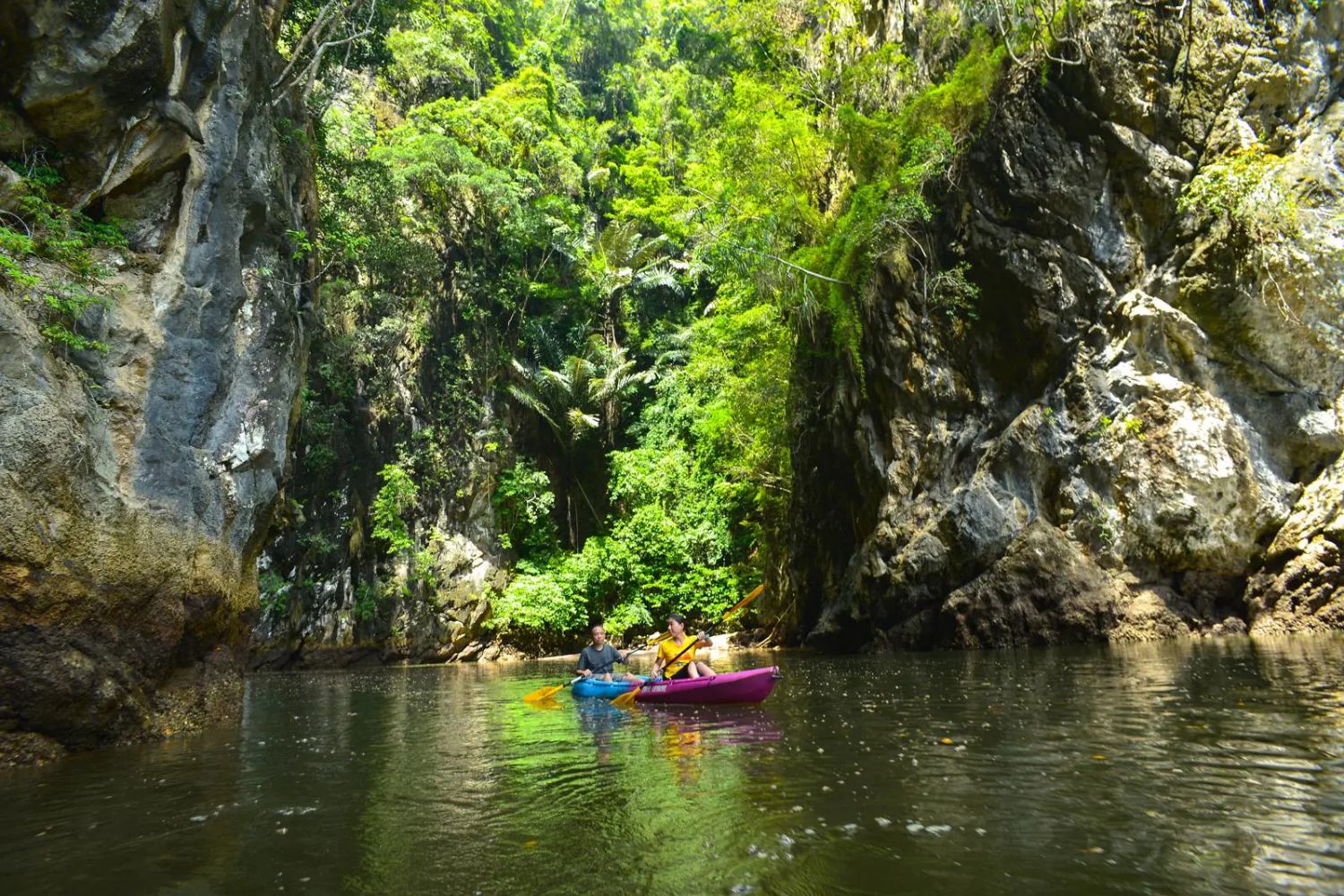 kayak-through-serene-mangrove-canyons-in-ao-thalane