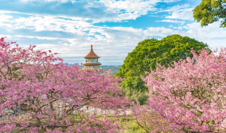 best-places-to-travel-in-january-in-Asia
