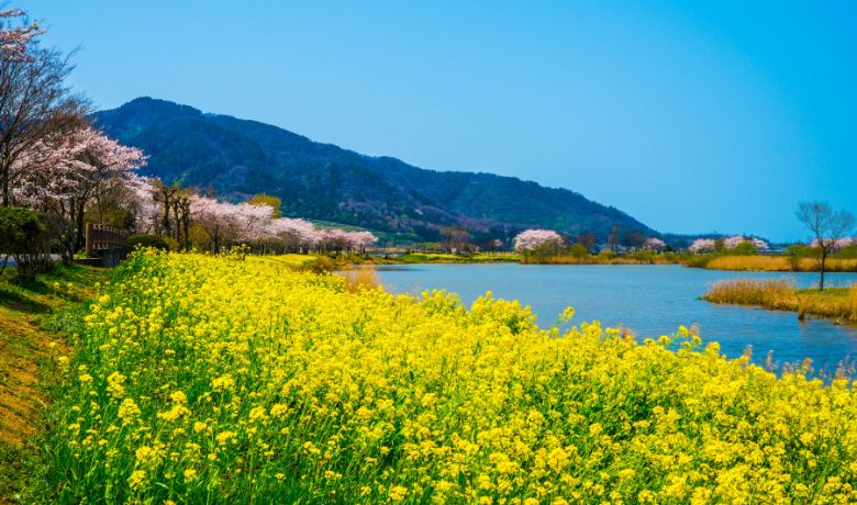 best-places-to-travel-in-january-in-Asia