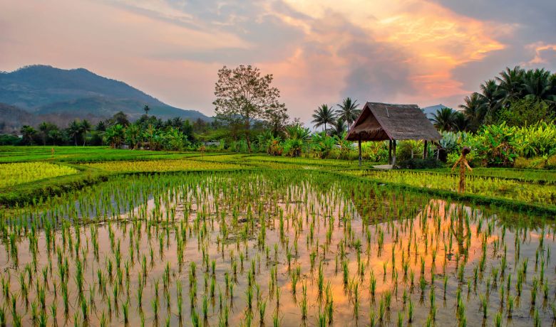 best-places-to-travel-in-january-in-Asia