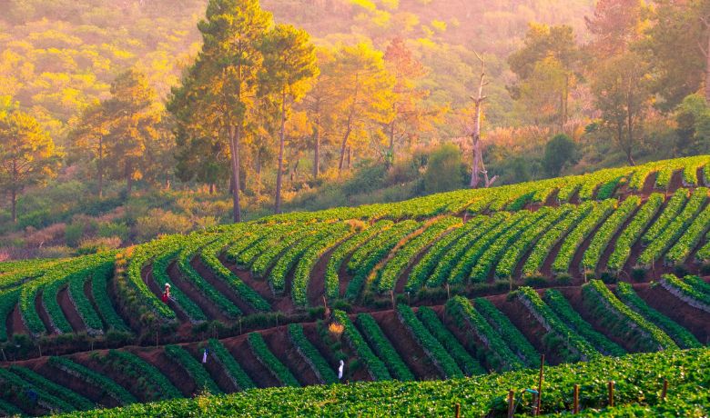 best-places-to-travel-in-january-in-Asia