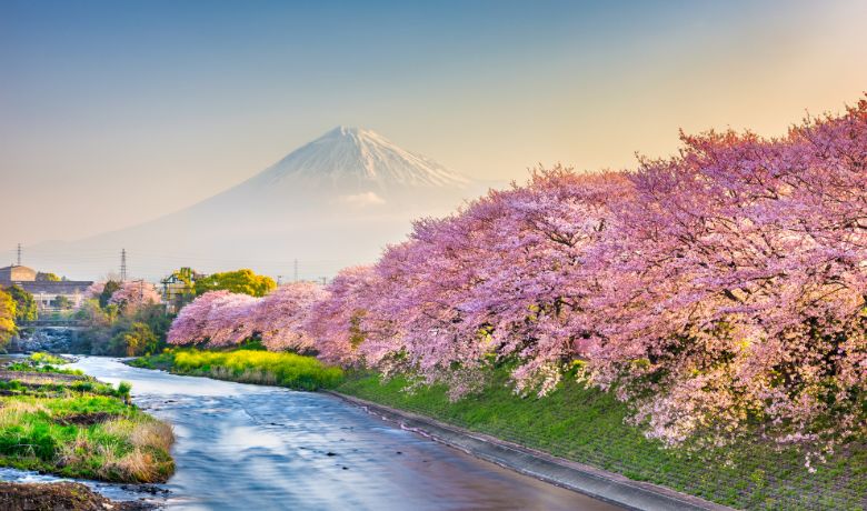 best-places-to-travel-in-january-in-Asia