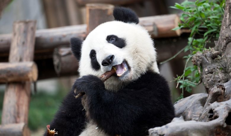 best-places-to-visit-in-china