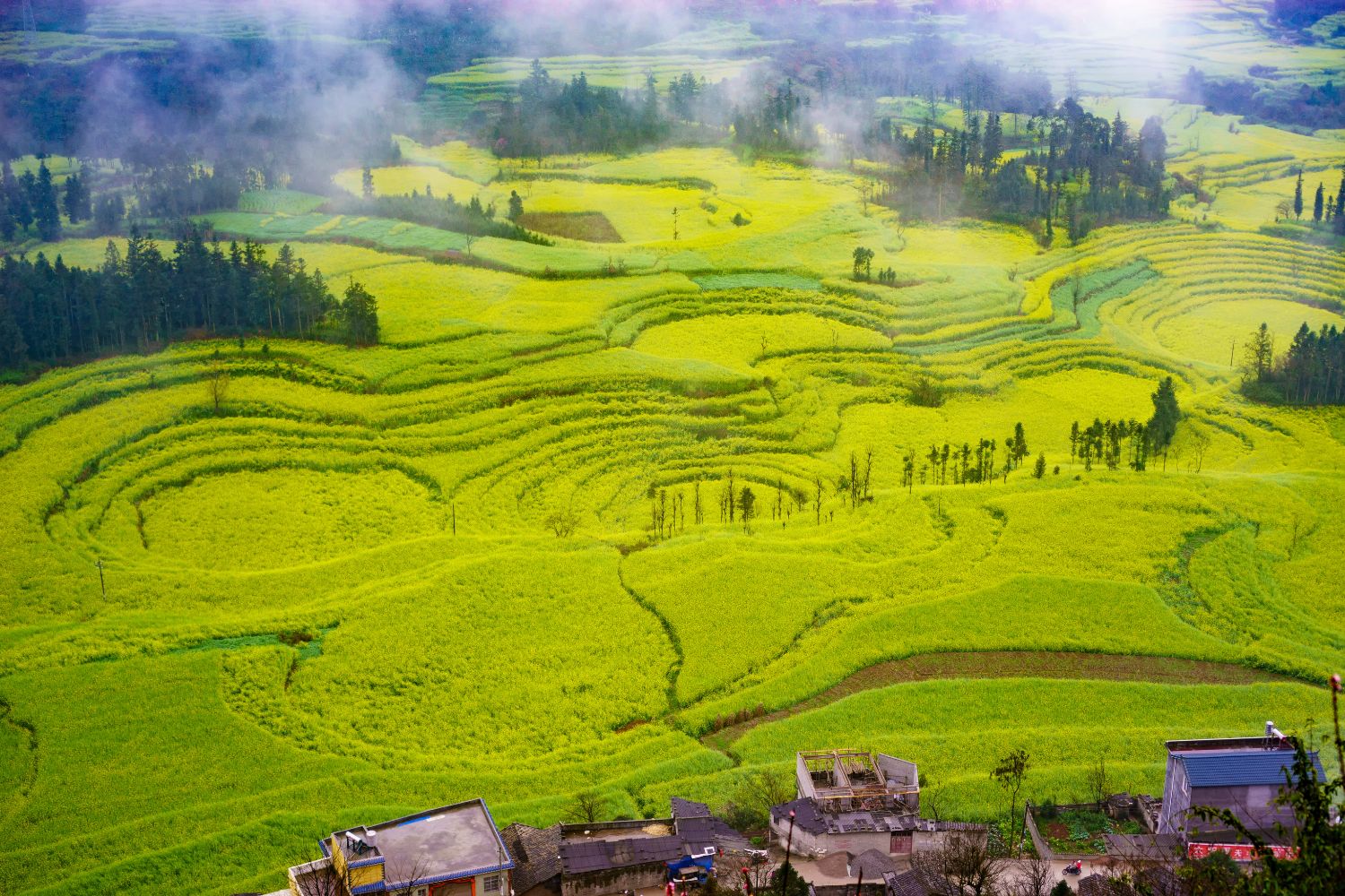 luoping-best-time-to-travel-china