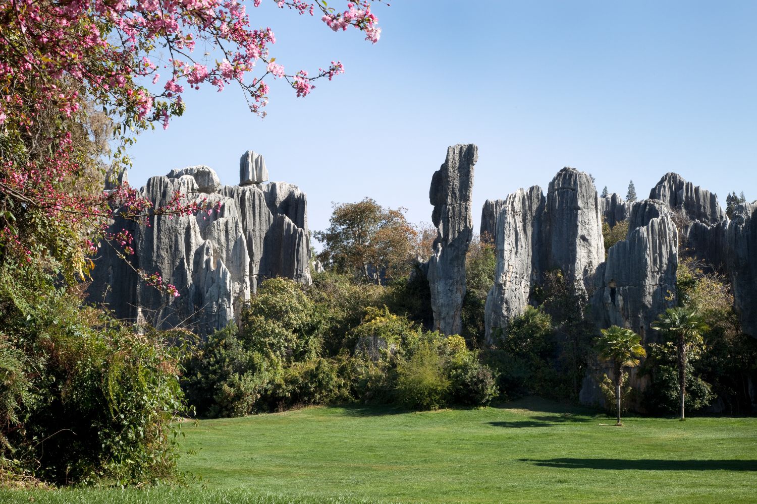 shilin-stone-forest-best-time-to-travel-to-china