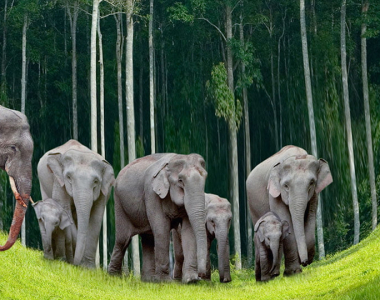 How to become an adventurer in Thailand