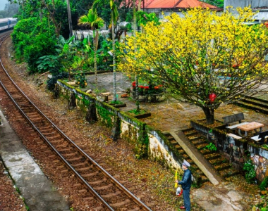 Heritage Train in Vietnam 2026: Scenic Journeys and Luxury Routes Guide
