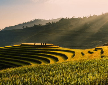 6 Majestic Rice Terraces in Vietnam: An Exclusive Journey Through Timeless Landscapes