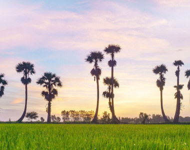 Vietnam is super-fun, indeed!