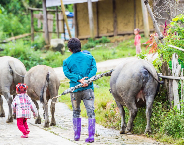 [Infographic] Top 9 things you may not know about Vietnam