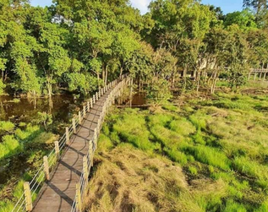 Cat Tien National Park: Discover The Pristine Nature Of Southern Vietnam