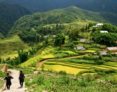 Hiking In Sapa: Best Time, Planning, Treks and Trails