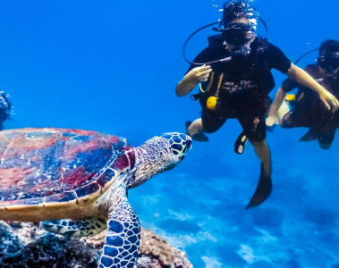 Snorkeling in Vietnam: A Complete Guide to the Best Underwater Spots