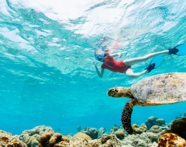 Snorkeling in Vietnam: A Complete Guide to the Best Underwater Spots