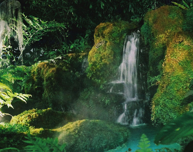 Beyond the Beaches: Discover The Wild Heart in 12 Breathtaking Thailand National Parks