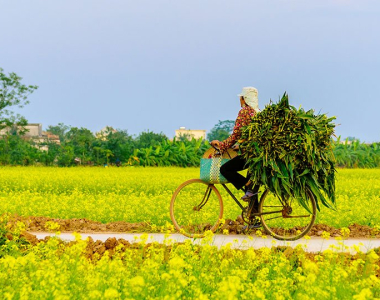 I am “Too good at goodbyes”, but not with Southeast Asia
